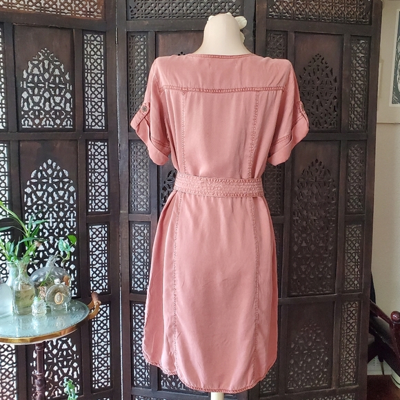 Pilcro and the Letterpress pink Lyocell dress - Picture 2 of 16